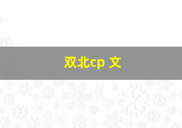 双北cp 文